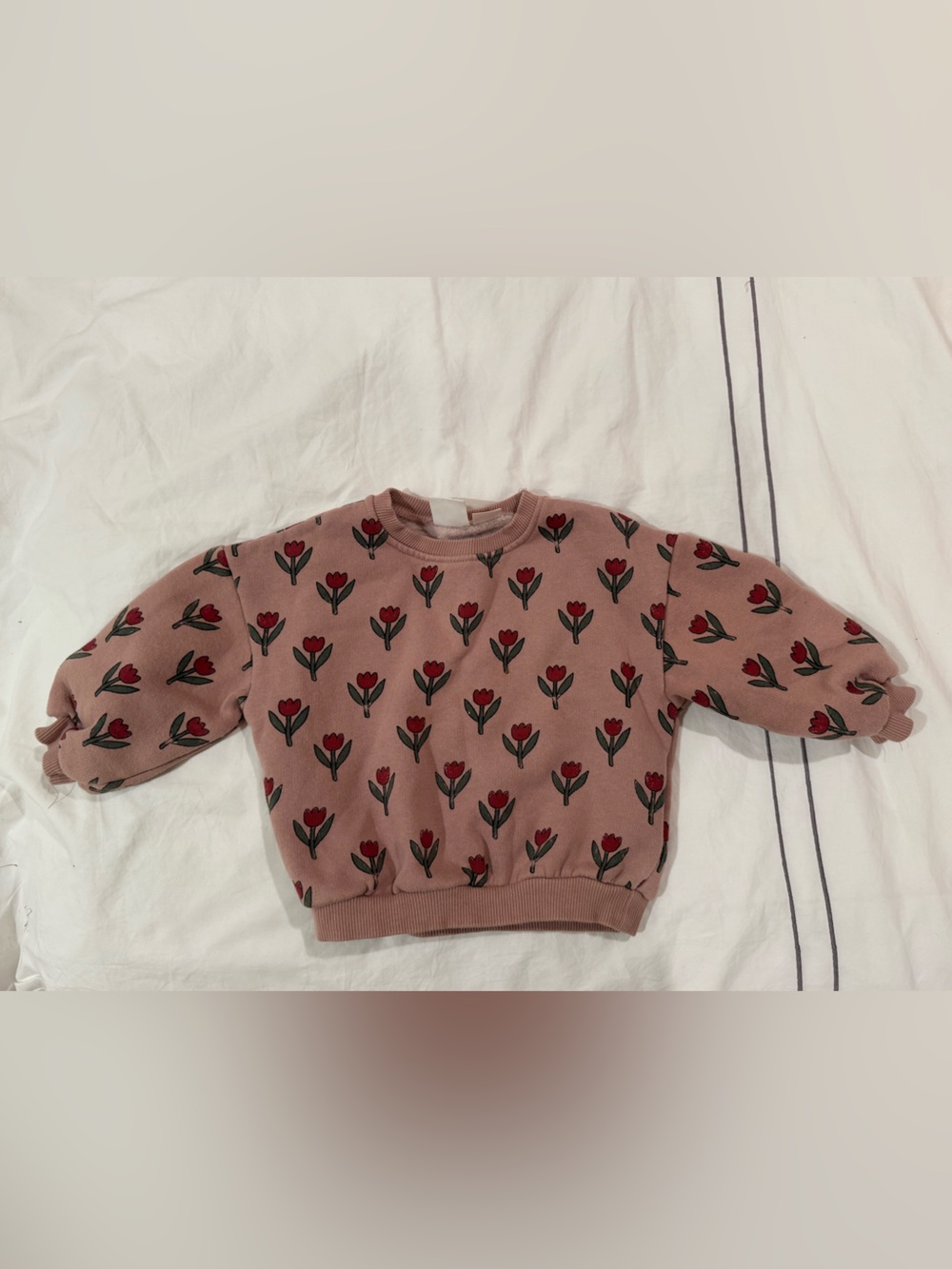 Zara girls Mauve Sweatshirt with Red Floral Print